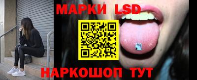 амф Новодвинск