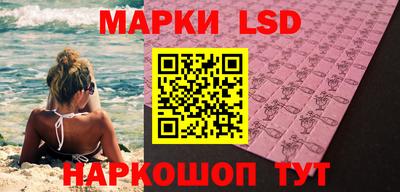 амф Новодвинск