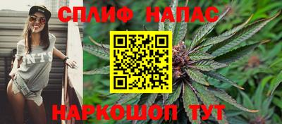 гидропоника Новокубанск