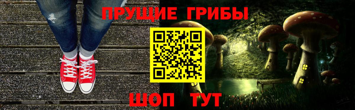 Сорочинск  Галлюциногенные грибы мицелий  Вход с VPN 